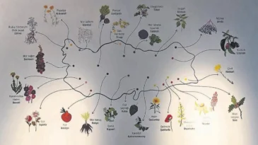 Ne ararsan Anadolu’da var – Cumartesi Sabah Haberleri