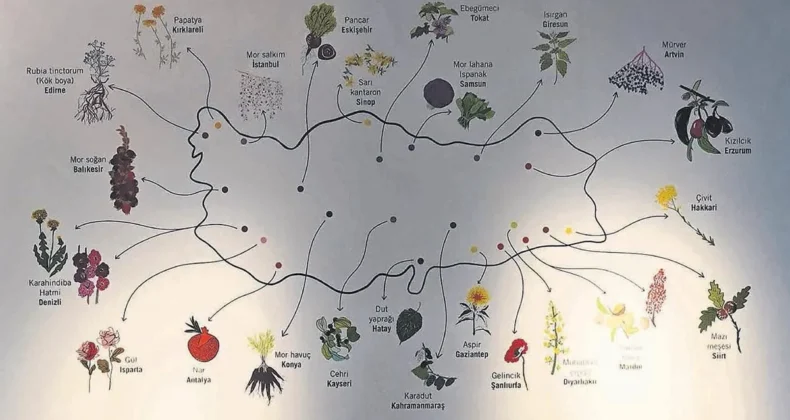 Ne ararsan Anadolu’da var – Cumartesi Sabah Haberleri